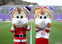 【明治安田Ｊ１ 第33節 広島vs柏】