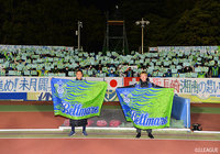 【明治安田Ｊ１ 第33節 湘南vs大分】