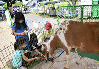 【明治安田Ｊ１ 第12節 川崎Ｆvs名古屋】