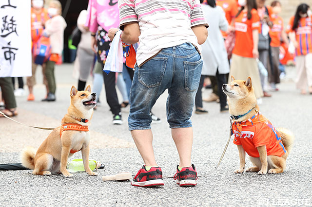 【明治安田Ｊ２ 第22節 新潟vs栃木】