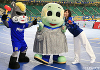 【明治安田Ｊ１ 第28節 大分vs湘南】