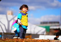 【明治安田Ｊ１ 第38節 鳥栖vs神戸】