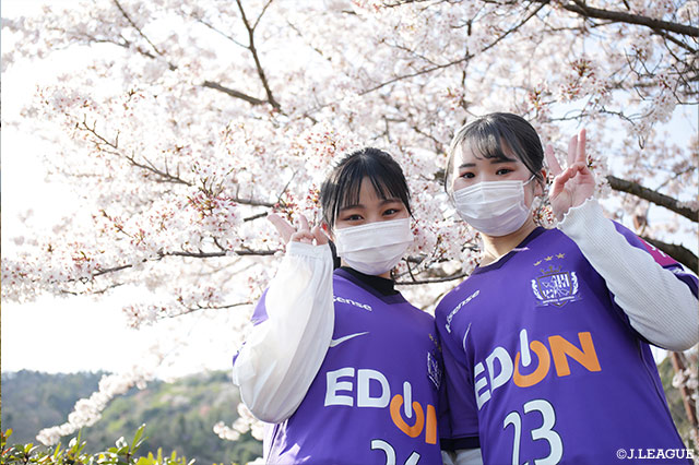 【明治安田Ｊ１ 第7節 広島vs横浜FM】