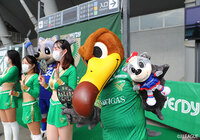 【明治安田Ｊ２ 第32節 東京Ｖvs甲府】