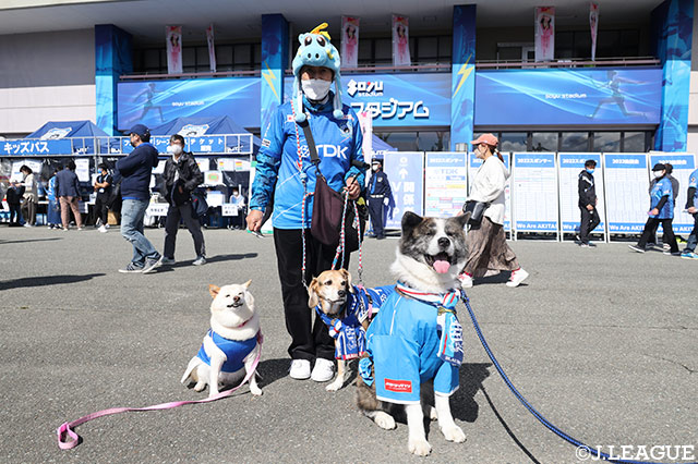 【明治安田Ｊ２ 第40節 秋田vs千葉】