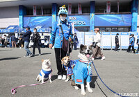 【明治安田Ｊ２ 第40節 秋田vs千葉】