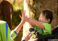 【明治安田Ｊ１ 第33節 湘南vs鳥栖】