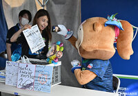 【明治安田Ｊ２ 第34節 徳島vsいわき】