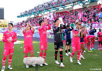 【明治安田Ｊ１ 第4節 鳥栖vsＣ大阪】