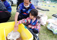 【明治安田Ｊ２ 第14節 水戸vs熊本】