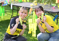 【明治安田Ｊ１ 第23節 柏vsFC東京】