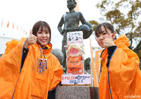 【明治安田Ｊ１ 第36節 清水vsＣ大阪】