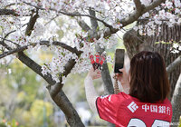 【明治安田Ｊ１百年構想リーグ 地域リーグラウンド WESTグループ 第9節 岡山vs神戸】