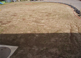 気温・地温が上がらなかった