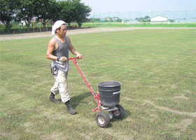 種子の追い播き