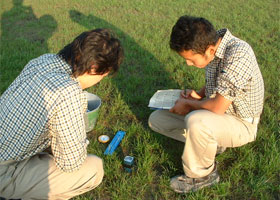 定時にデータ収集