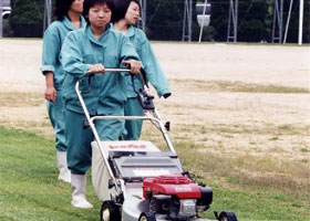 芝という共通の教材