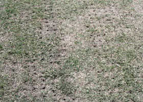 コアリング（２）