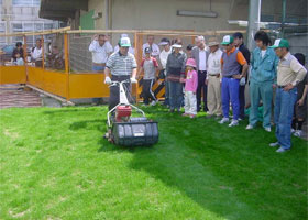 模範の芝刈り