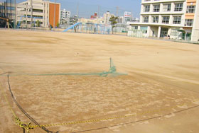 試験的に植えてみる