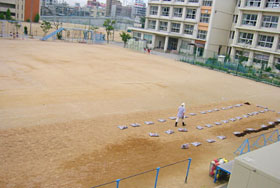 植え付けのための床土整備