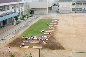 拡張作業(前年度植え付けた周辺に拡張)