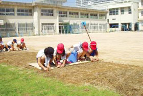 拡張作業で、4年生児童が筋植えを行っている様子