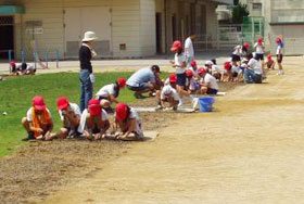 4年生児童が筋植えを行っている様子
