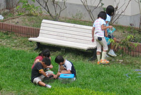 虫の観察の様子（中庭）