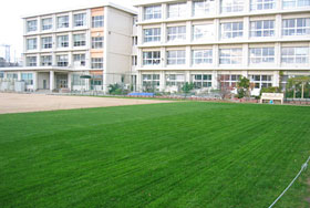 生育の様子（オーバーシード後）