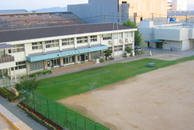 最新の生育の様子