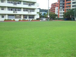 平成19年夏、今年度の校庭