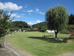 出来上がった芝生の運動場(９月第１週)