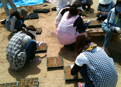 ポット苗を職員で準備