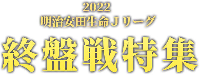 2022明治安田生命j1リーグ 優勝・ACL争い