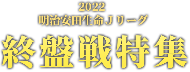 2022明治安田生命j3リーグ 優勝・昇格争い