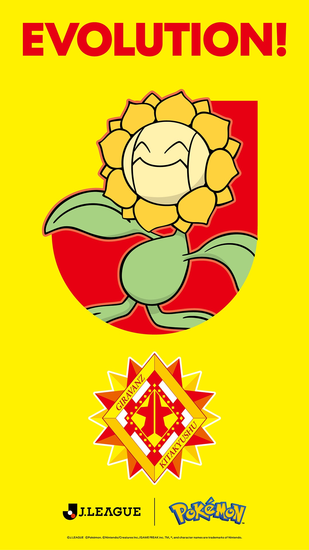 キマワリ