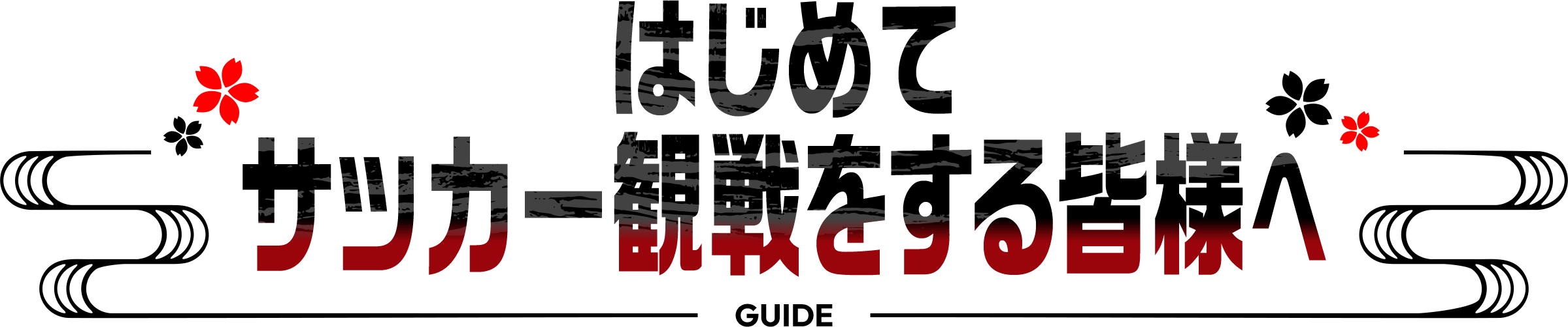はじめてサッカー観戦をする皆様へ