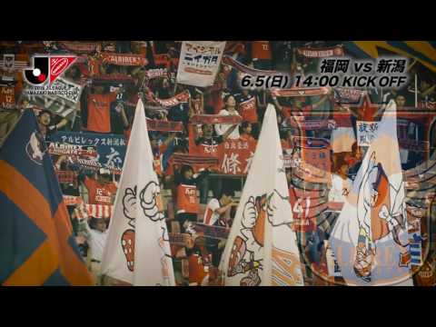 6/5(日)14:00KO 福岡vs新潟（＠レベスタ）プレビュー【GS 第7節】