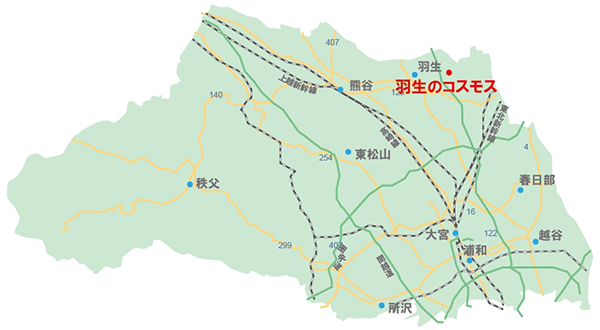 羽生のコスモス（羽生市）