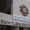 [ J1：第33節 柏 vs 清水 ]　今日はネルシーニョ監督の日立台ラストマッチ。サポーターからは「...
