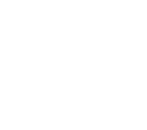 投票する